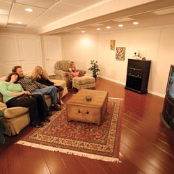 A family TV room in a Lockport basement
