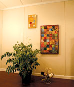 Basement wall panels - Joliet and Elgin